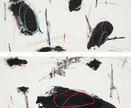 Graham Kuo, Black and White with Colour Lines 2009 ink and pastel on paper 27cm x 57cm each