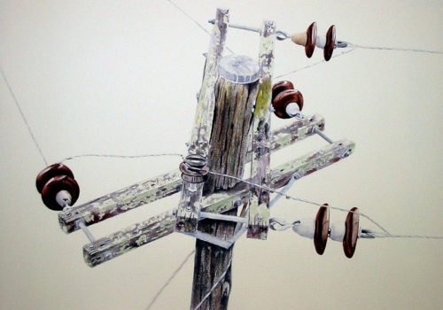 Bev Cozad-Bush, Electric 16 - Power pole along Webbers Creek Rd, Paterson, 2005 Watercolour on Arches paper 48 x 36 cm, On loan from PowerServe