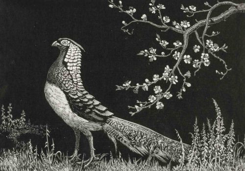 Lionel Lindsay. Spring (detail), 1936, wood engraving, printed in black ink on paper, 15.1 x 21.6cm. Donated to the Maitland Regional Art Gallery Collection under the Australian Government’s Cultural Gifts Program by Max and Nola Tegel in 2016. © the Estate of Lionel Lindsay. By permission of the National Library of Australia.
